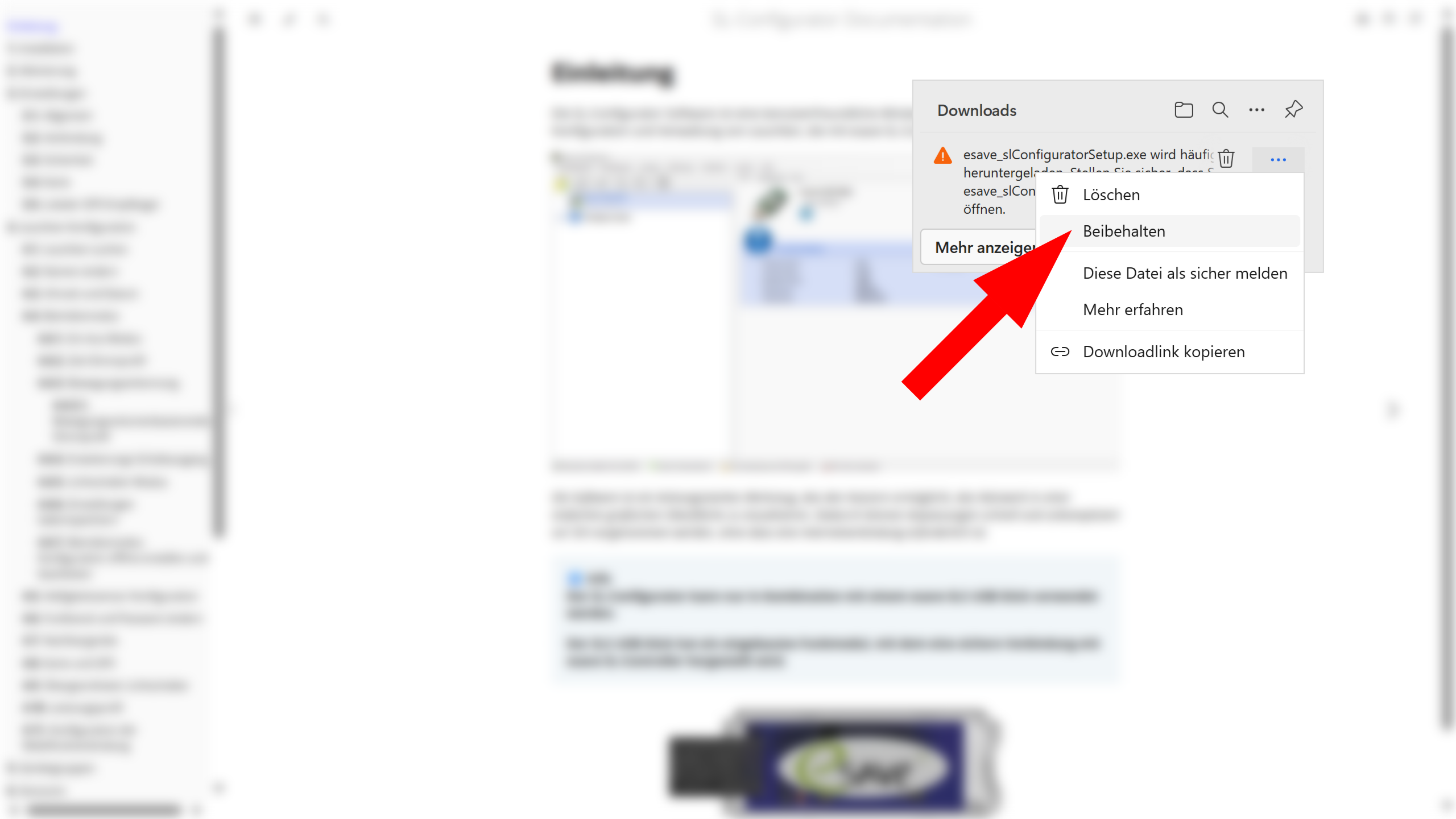 Download und Ausführen der Setup-Datei unter Windows 11