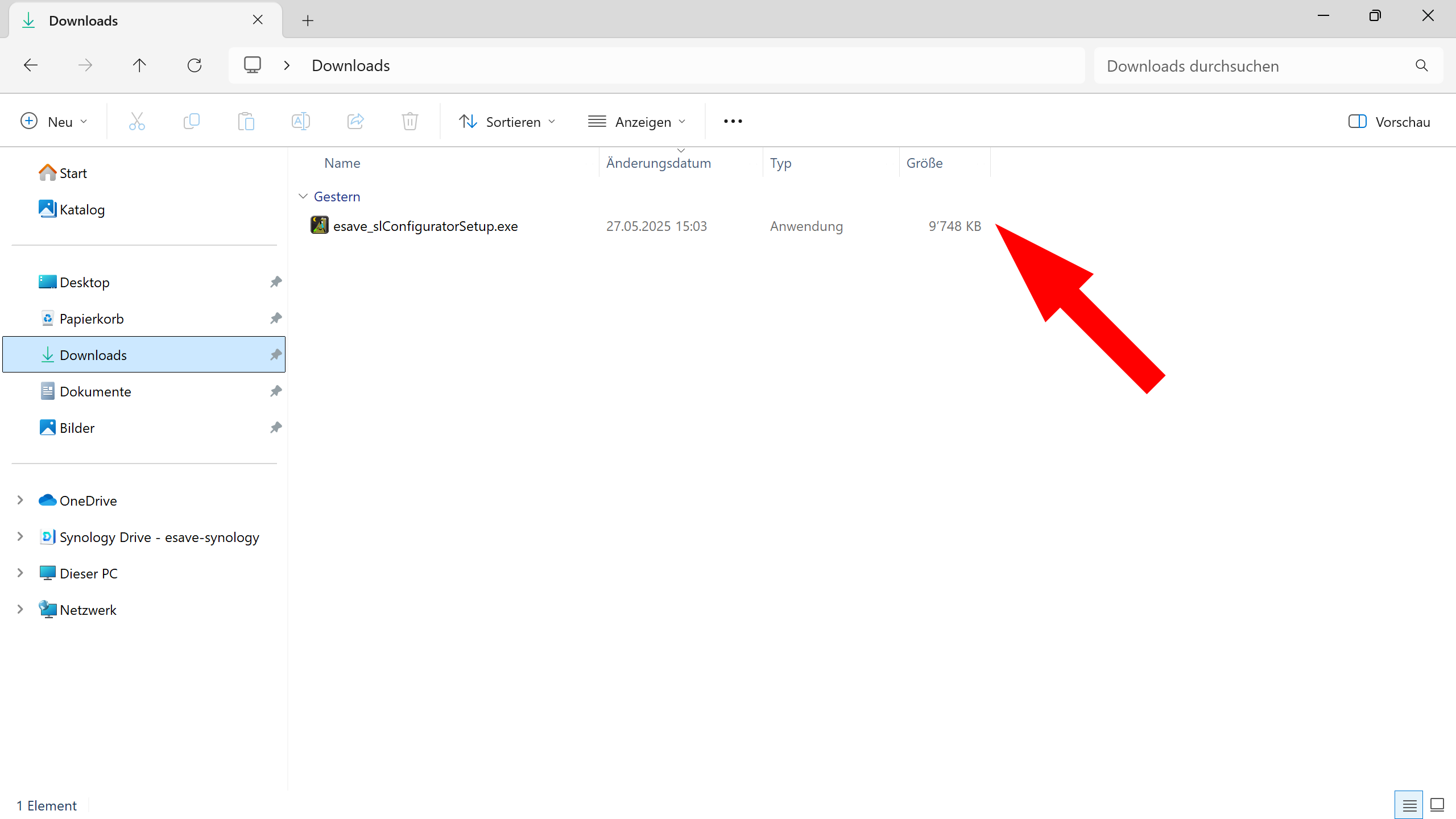 Download und Ausführen der Setup-Datei unter Windows 11